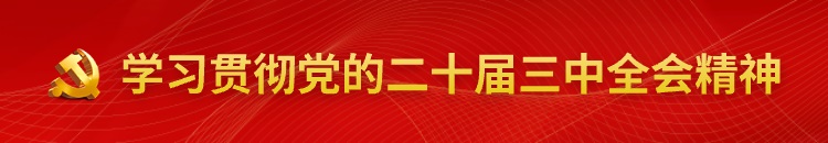 二十屆三中全會精神
